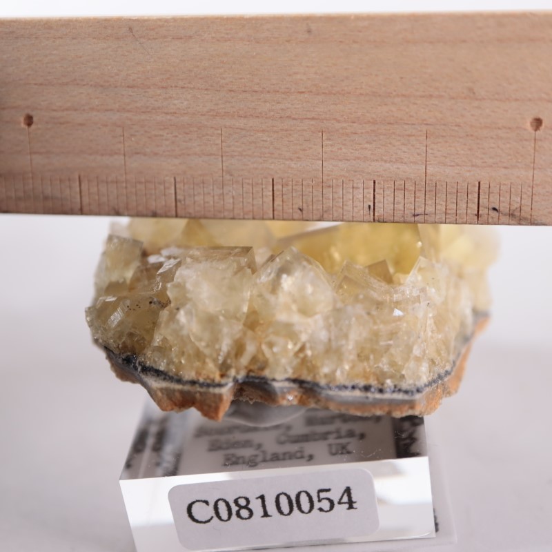 閉山ヒルトン鉱山　フローライト 蛍石　鉱物　鉱物標本 原石 fluorite ヒルトン鉱山 フローライト | 鉱物標本,ハ行,フローライト/蛍石