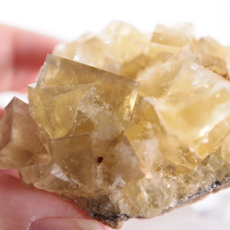 ヒルトン鉱山 フローライト | 鉱物標本,ハ行,フローライト/蛍石,フロー