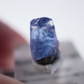 ����˥ҥ륺�������󥶥ʥ���