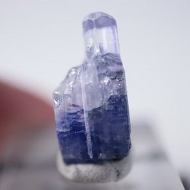 ����˥ҥ륺�������󥶥ʥ���