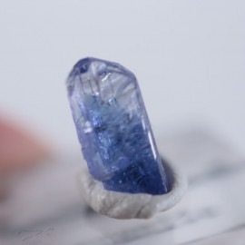 ���󥶥ʥ���