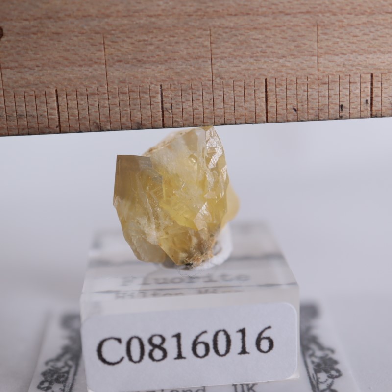 閉山ヒルトン鉱山　フローライト 蛍石　鉱物　鉱物標本 原石 fluorite ヒルトン鉱山 フローライト | 鉱物標本,ハ行,フローライト/蛍石
