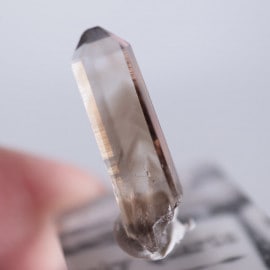 �˥塼�ᥭ����������徽