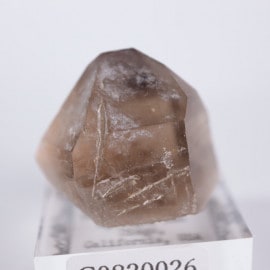 ����ե���˥�������徽