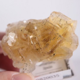 �⥹���ʹۻ����ե����饤��