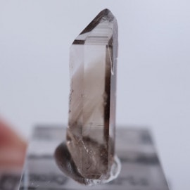 �˥塼�ᥭ����������徽