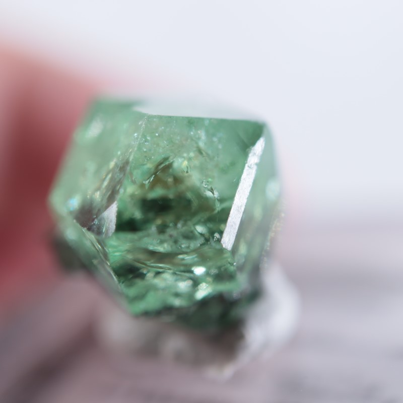 【タンザニア/メレラニ産】ツァボライト(グリーングロッシュラーガーネット) ツァボライト(宝石名グリーン グロッシュラー・ガーネット) タンザニア