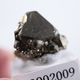 �ڥ롼�����ѥ��饤��