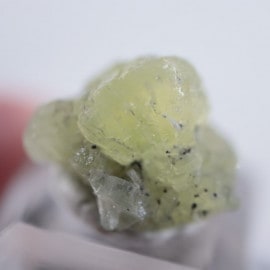 ����˥ҥ륺�����ץ�ʥ���