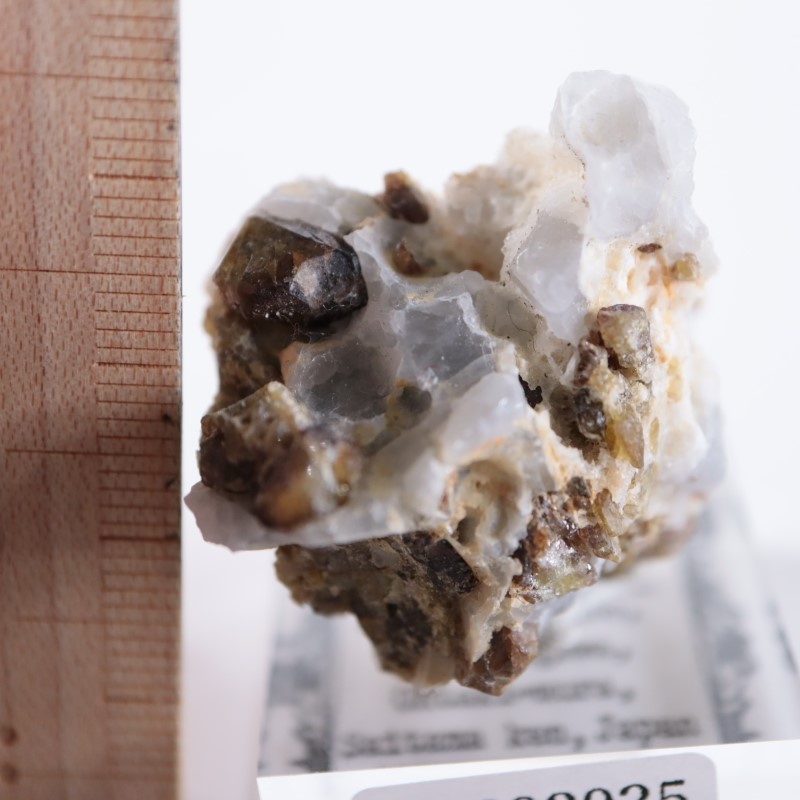 秩父鉱山 ベスブ石 | 鉱物標本,ハ行,ベスビアナイト（アイド