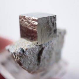 Victoria�ۻ����ѥ��饤��