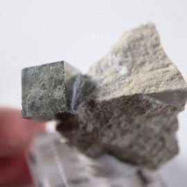 Victoria�ۻ����ѥ��饤��