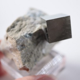 Victoria�ۻ����ѥ��饤��