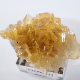 �⥹���ʹۻ����ե����饤��