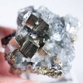 �֥륬�ꥢ�����ѥ��饤�ȡ��徽