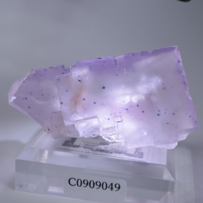 イリノイ州産 フローライト | 鉱物標本,ハ行,フローライト/蛍石,フロー