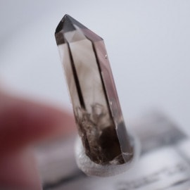 �˥塼�ᥭ����������徽