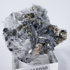 �֥륬�ꥢ�����徽���ѥ��饤��