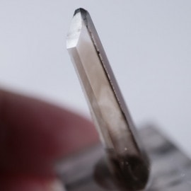 �˥塼�ᥭ����������徽