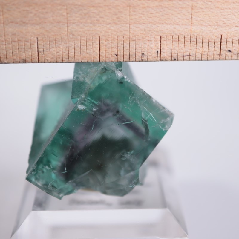 Lady Annabella Fairy Holes Pocket フローライト