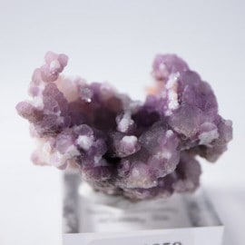 Second Chance Vein������