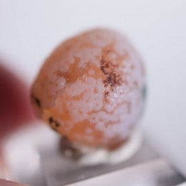 ��񻺡���������