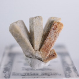 �����ե����󻺡����쥹�ƥ���ʥ��쥹�����ȡ�