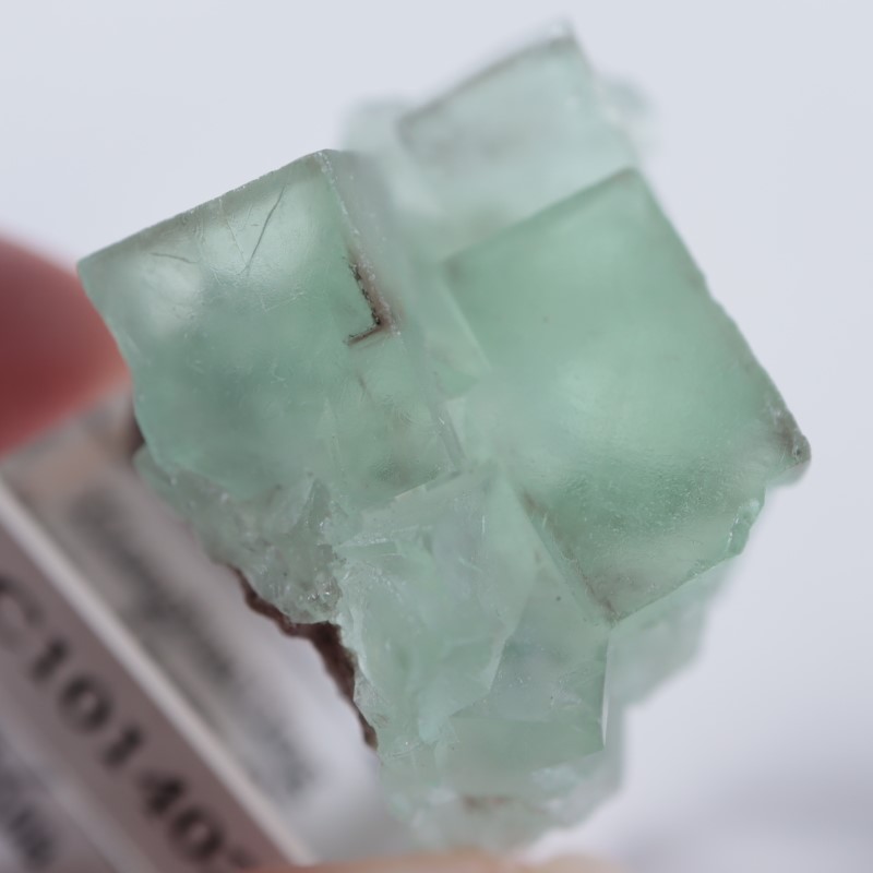 Xianghualing鉱山 蛍石 | 鉱物標本,ハ行,フローライト/蛍石,フロー