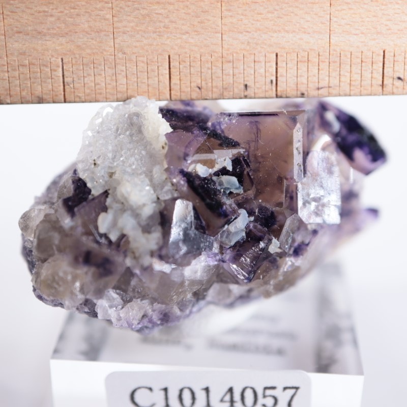 ポメころびページ パープルオニキス/スモーキークォーツ ポメころびページ パープルオニキス/スモーキークォーツ Purple