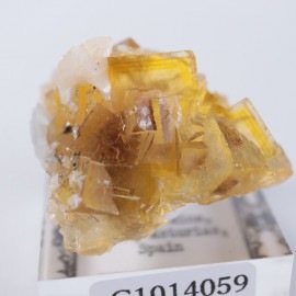 �⥹���ʹۻ����ե����饤��