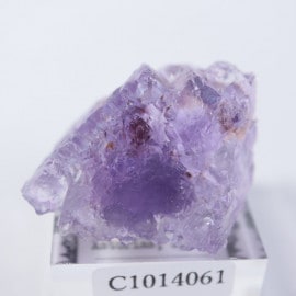 Berbes�ۻ����ե����饤��