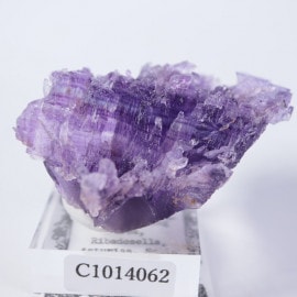 Berbes�ۻ����ե����饤��