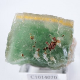 El Hammam�ۻ����ե����饤��