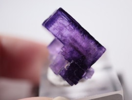 ����Υ������ե����饤��