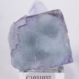 Taourirt�ۻ����ե����饤��