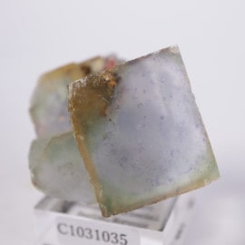 Taourirt�ۻ����ե����饤��