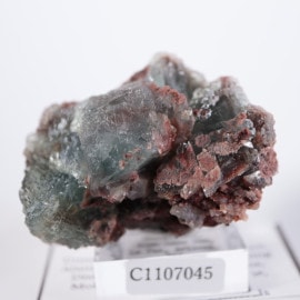 Alamo Lake�����ե����饤��