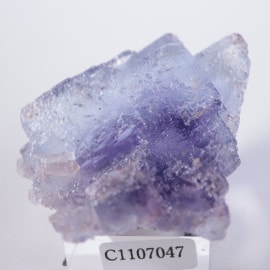 Berbes�����ե����饤��