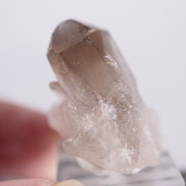 �֥饸�뻺�����⡼������������