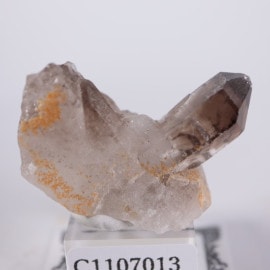 �֥饸�뻺�����⡼������������