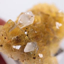 �⥹���ʹۻ�������