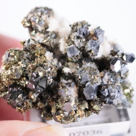 �֥륬�ꥢ�����ѥ��饤�ȡ������