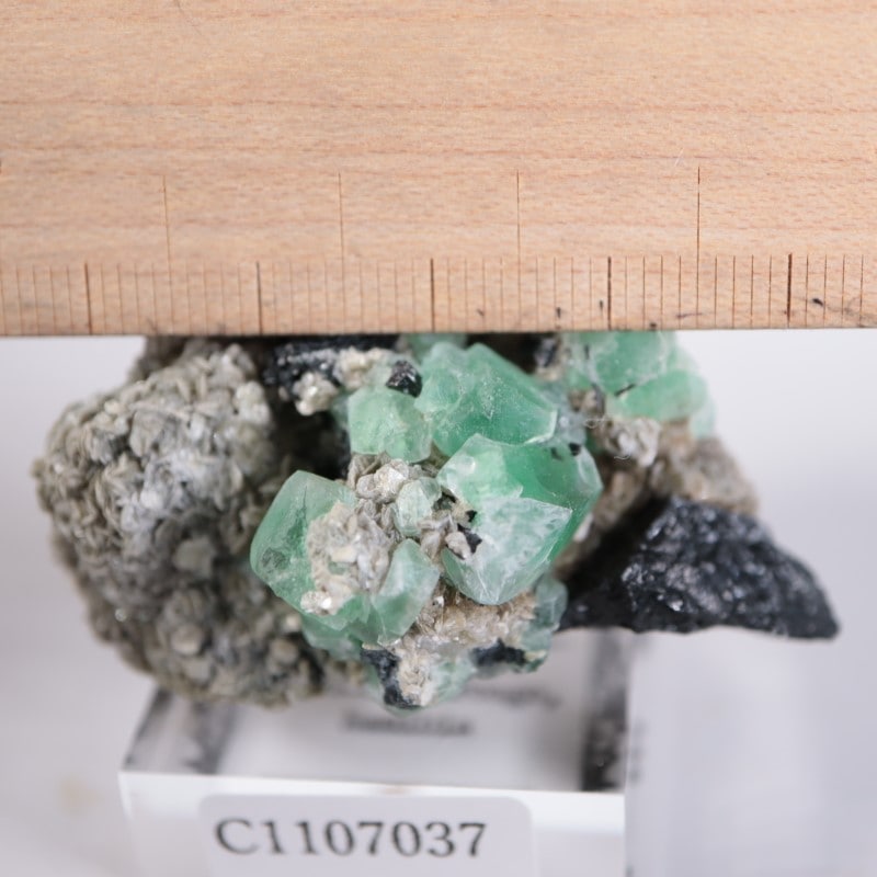 外国産鉱物標本 ナミビア オコルス鉱山産フローライト 原石 フロー