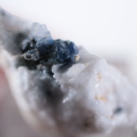 ����ե���˥������٥˥ȥ�����