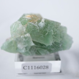 El Hammam�ۻ����ե����饤��