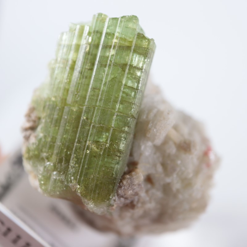 ブラジル産 トルマリン | 鉱物標本,タ行,トルマリン/電気石 | ほたるみ  