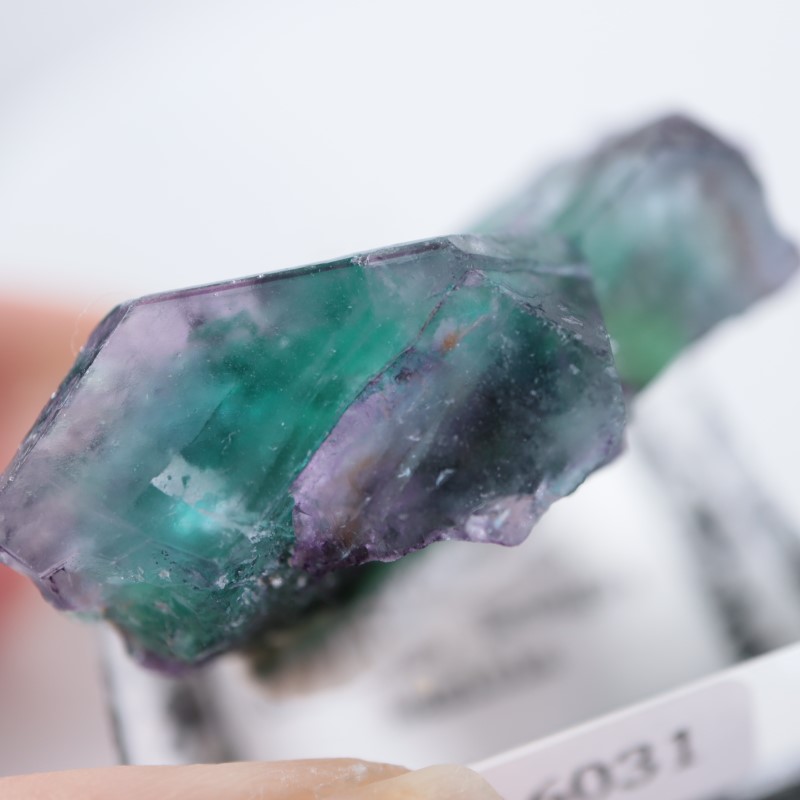 ナミビア エロンゴ州産フローライト ナミビア産 フローライト | 鉱物標本,ハ行,フローライト/蛍石