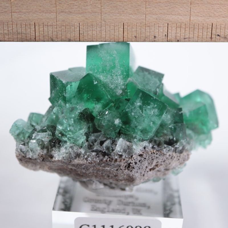 Diana Maria鉱山　フローライト　fluorite 鉱物　鉱物標本　原石 Diana Maria鉱山 フローライト（蛍石） | 鉱物標本,ハ行,フロー