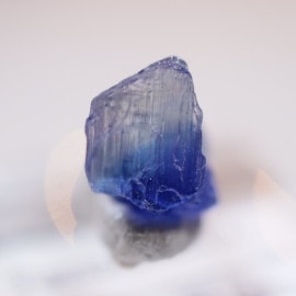 ����˥ҥ륺�������󥶥ʥ���