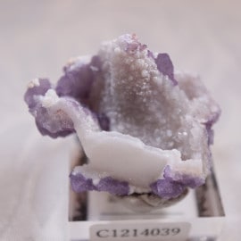 Second Chance Vein���ե����饤��